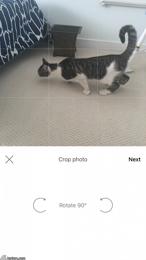 خلق آثار هنری از عکس با اپلیکیشن «پریزما» خلق آثار هنری از عکس با اپلیکیشن «پریزما»