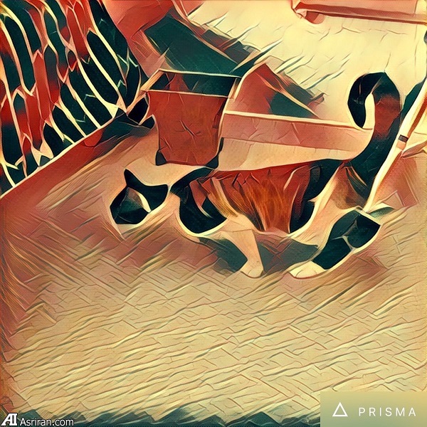 خلق آثار هنری از عکس با اپلیکیشن «پریزما» خلق آثار هنری از عکس با اپلیکیشن «پریزما»