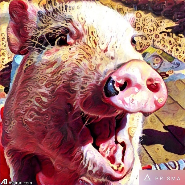 خلق آثار هنری از عکس با اپلیکیشن «پریزما» خلق آثار هنری از عکس با اپلیکیشن «پریزما»