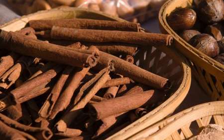 دارچین اکسیر افزایش حافظه و توانایی یادگیری دارچین اکسیر افزایش حافظه و توانایی یادگیری