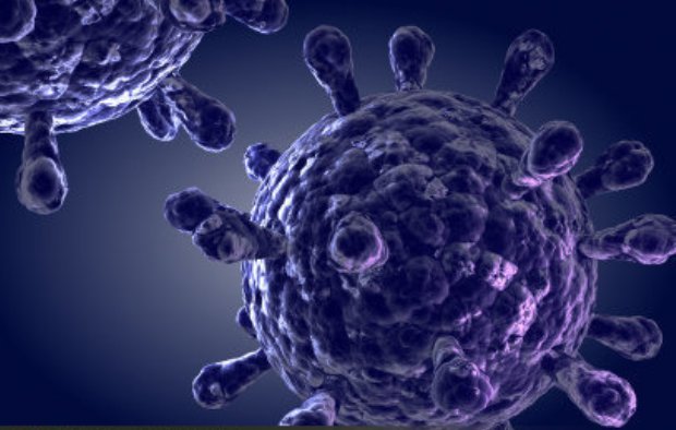 راز زنده ماندن سلول های سرطانی کشف شد راز زنده ماندن سلول های سرطانی کشف شد