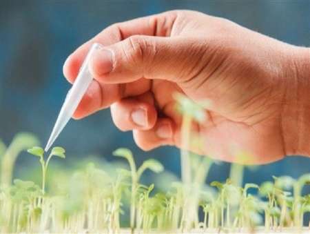 شخصی سازی طبیعت؛ خوب یا بد شخصی سازی طبیعت؛ خوب یا بد