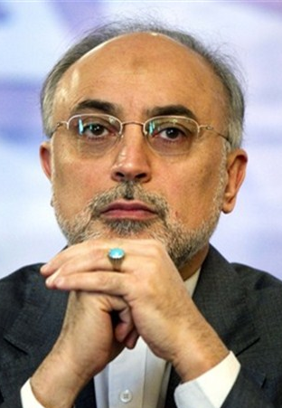 سه نماینده مجلس: صالحی گزینه اصول‌گرایان برای انتخابات ریاست جمهوری 96