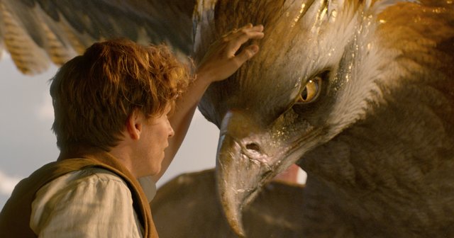 هری پاتر در یک هفته 218 میلیون دلاری فروخت