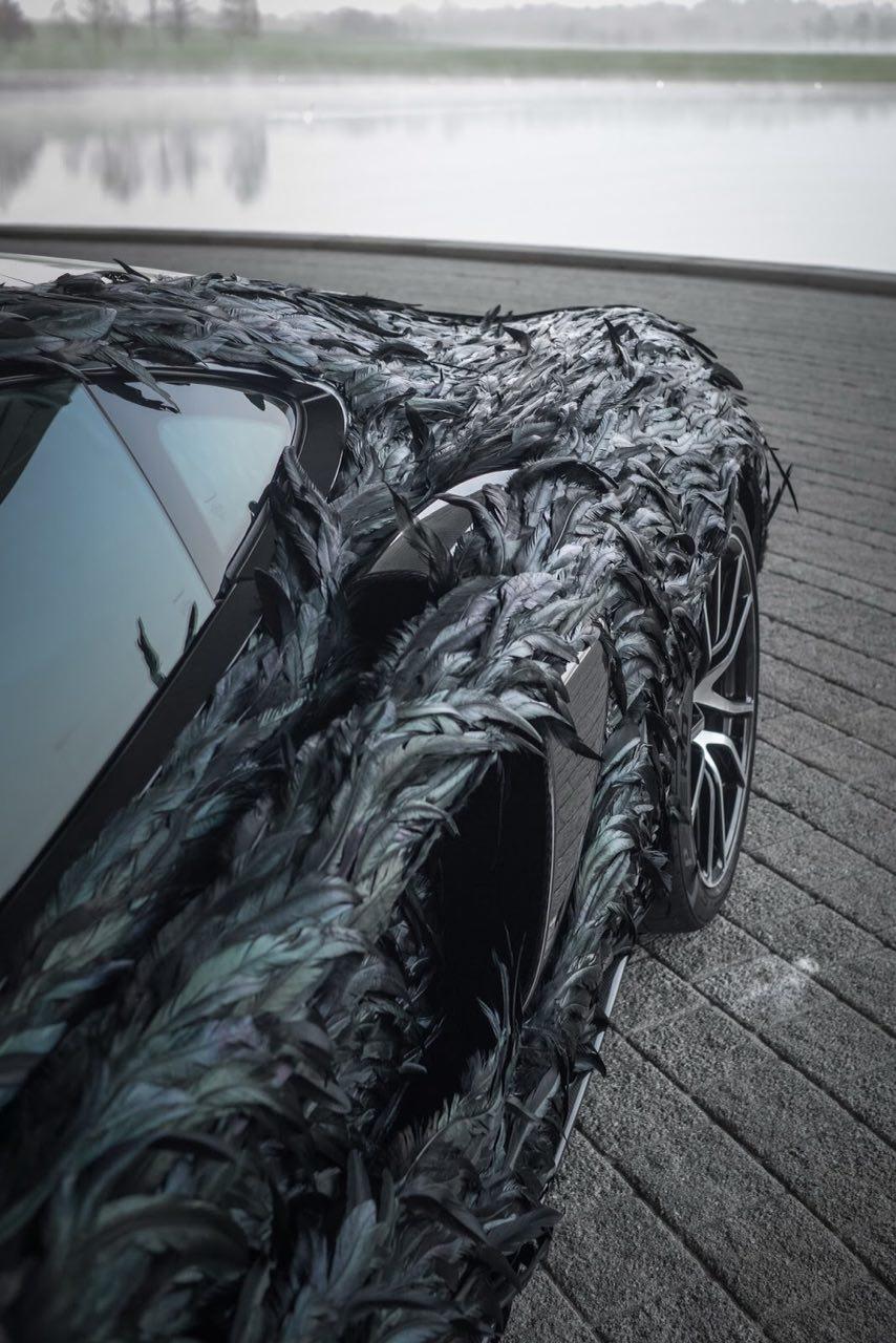 پوششی از پر برای یک خودرو پوششی از پر برای یک خودرو