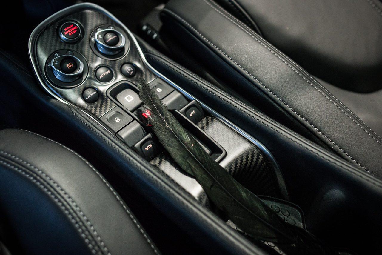 پوششی از پر برای یک خودرو پوششی از پر برای یک خودرو