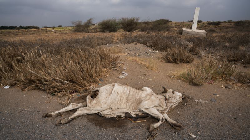 خطر خشک شدن یک چهارم زمین در 30 سال آینده خطر خشک شدن یک چهارم زمین در 30 سال آینده