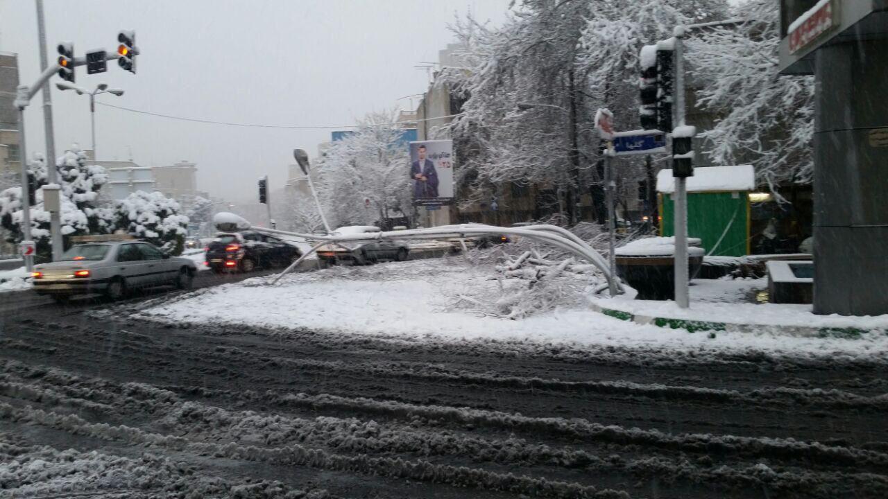 خم شدن تیرک‌ چراغ برق بر اثر بارش شدید برف در تهران (عکس)