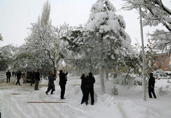 46 درصد پیام های 137 در مورد آسیب درختان بوده است/ ثبت بیش از 11 هزار تماس از آغاز بارش برف 46 درصد پیام های 137 در مورد آسیب درختان بوده است/ ثبت بیش از 11 هزار تماس از آغاز بارش برف