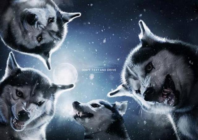 تصاویر جالب از تبلیغات اجتماعی خوب و حرفه‌ای