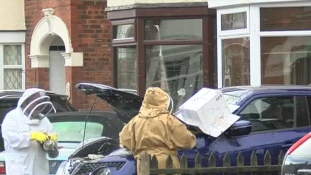 حمله هزاران زنبور به نیسان جوک حمله هزاران زنبور به نیسان جوک