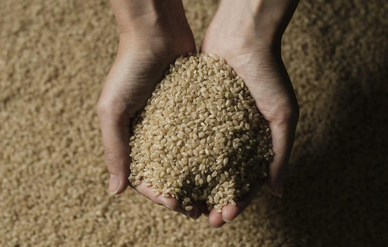 4 اقدام ساده خانگی برای کاهش اندازه دور کمر 4 اقدام ساده خانگی برای کاهش اندازه دور کمر