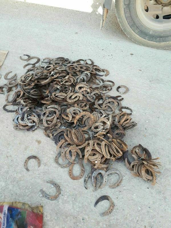 کشف قاچاق نعل اسب توسط ماموران گمرک (عکس) کشف قاچاق نعل اسب توسط ماموران گمرک (عکس)