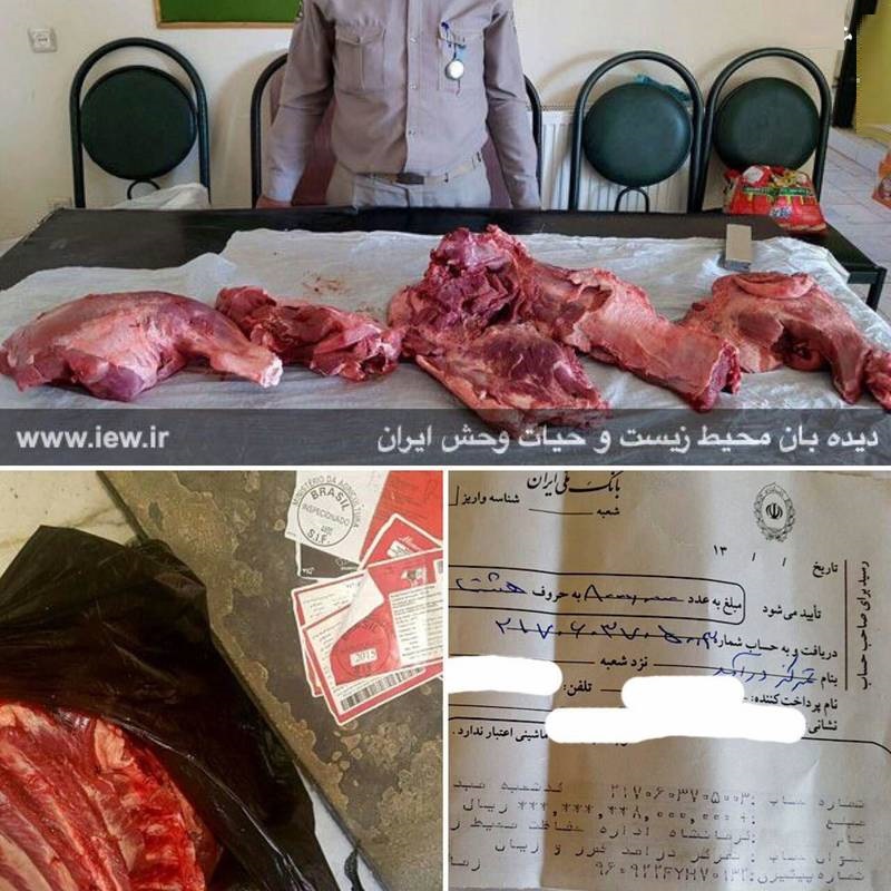 فروش گوشت گراز با لیبل گوشت گاو در سرپل ذهاب (عکس)