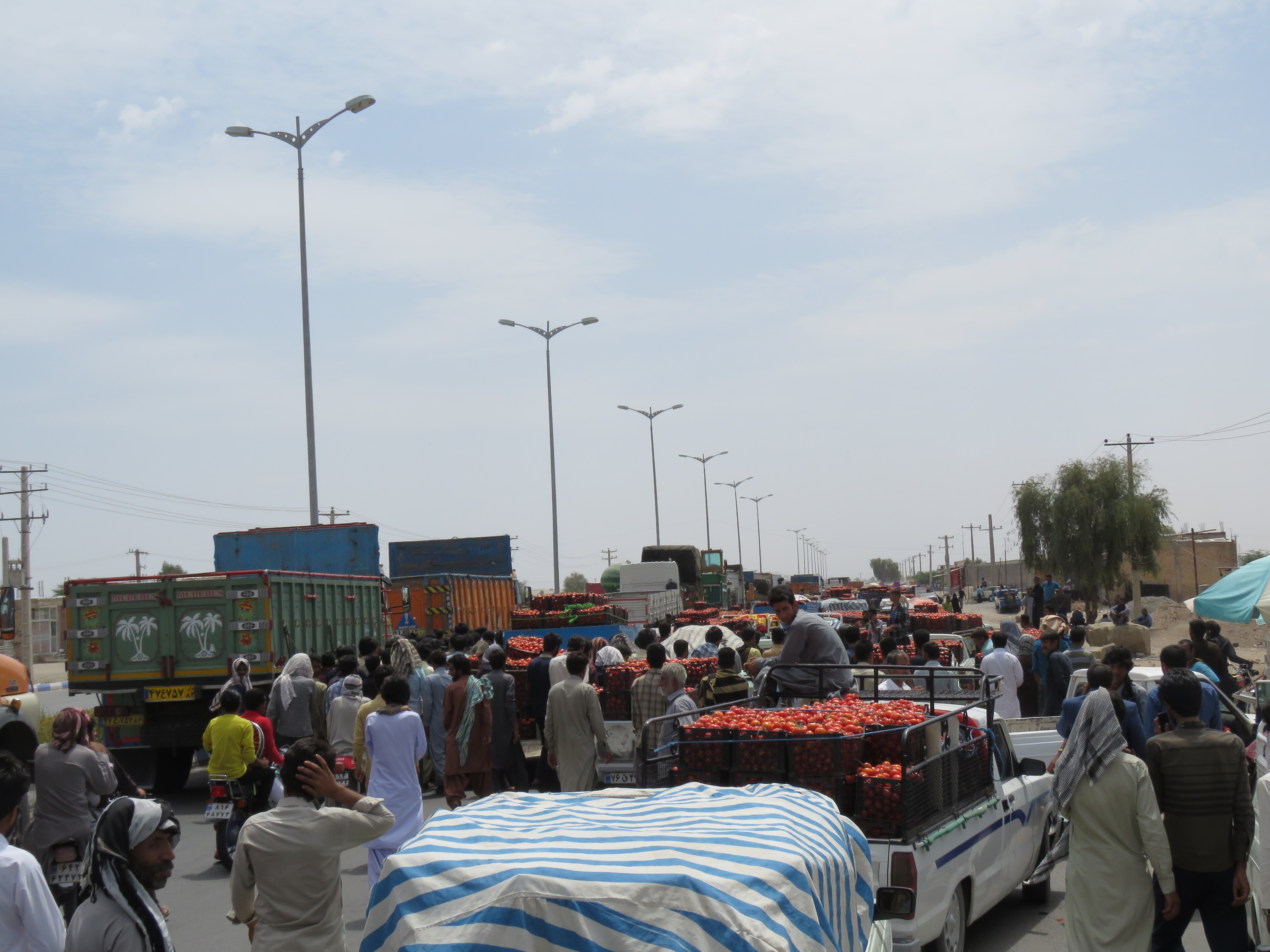 کشاورزان معترض، جاده ترانزیتی رودبار-جازموریان را بستند/ اگر محصول را الساعه نخرند، همهاش از بین خواهد رفت / گزارش رجانیوز از وضع اسفبار کشاورزان جنوب کرمان که صدایشان به هیچکس نمیرسد (+عکس) کشاورزان معترض، جاده ترانزیتی رودبار-جازموریان را بستند/ اگر محصول را الساعه نخرند، همهاش از بین خواهد رفت / گزارش رجانیوز از وضع اسفبار کشاورزان جنوب کرمان که صدایشان به هیچکس نمیرسد (+عکس)