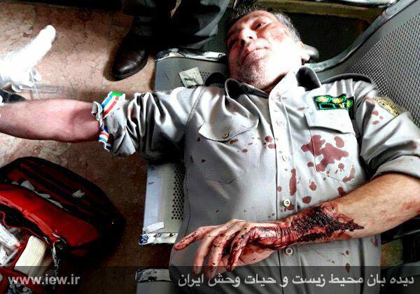 دستگیری عامل ضرب و شتم محیط بان خرم آبادی