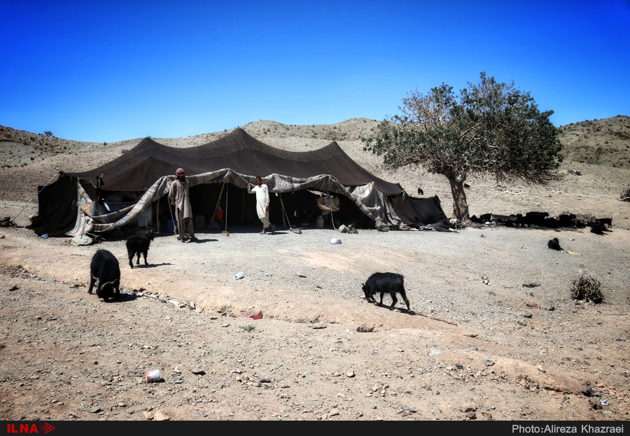 کشاورزان سیستانی: هرکه توانسته زندگی‌اش را فروخته و رفته/ دولت به داد مردم نرسد، آب خوردن هم باقی نمی‌ماند