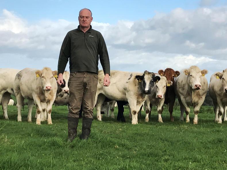 درخواست دامداران ایرلندی برای بازگشایی سفارت ایرلند در تهران