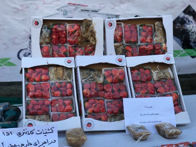 کشف تریاک‌فرنگی در تره‌بار (+عکس)