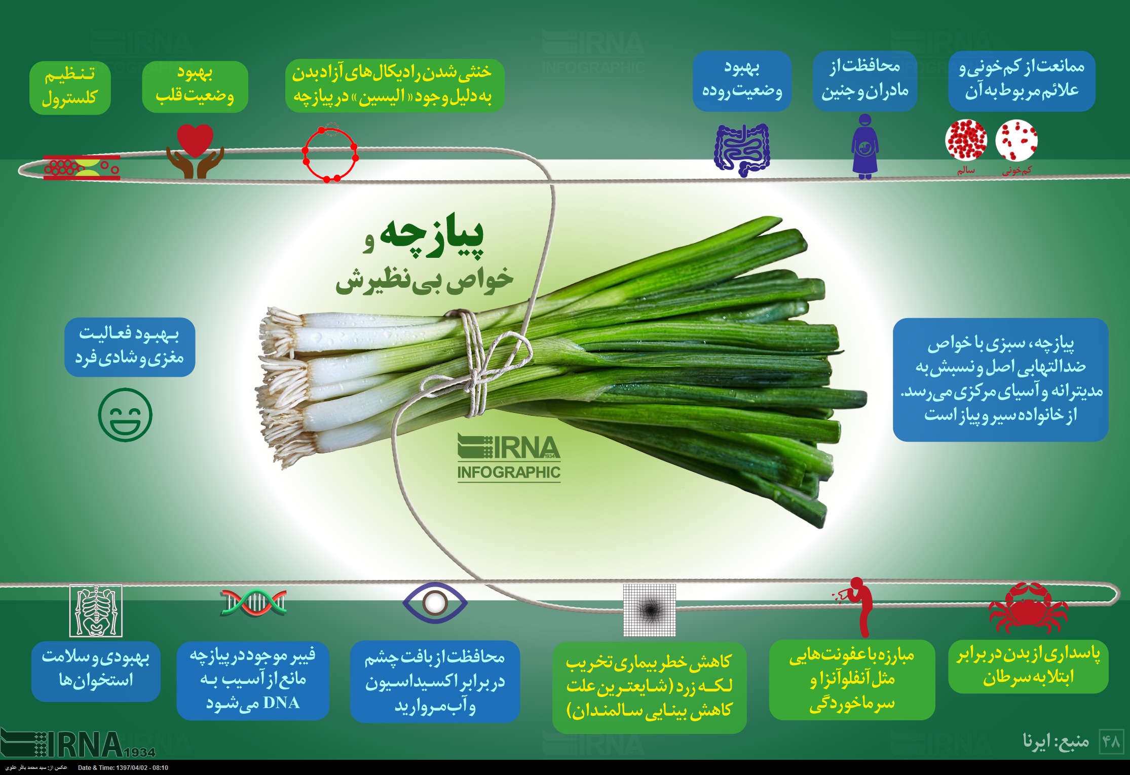 پیازچه و خواص بی نظیرش (اینفوگرافی)
