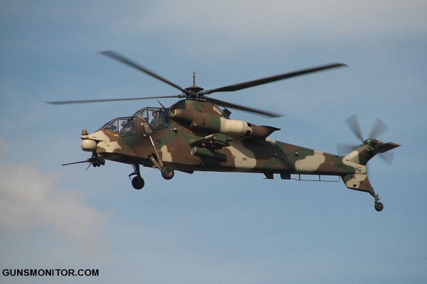 پرندهایی از 21  تا 95میلیون دلار! (+تصاویر)