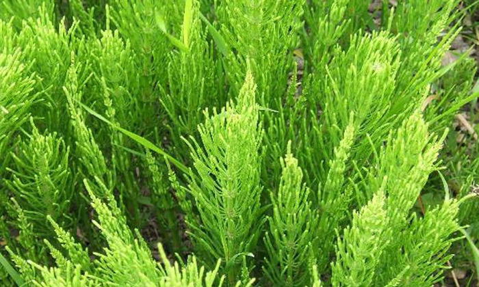 5 روش خانگی برای مقابله با بوی بد پا 5 روش خانگی برای مقابله با بوی بد پا