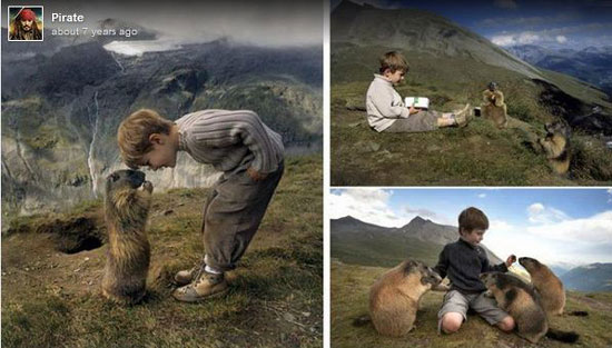 مارموت‌های آلپ