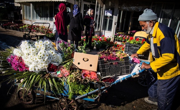 آتش «کرونا» به جان بازار گل تهران/ گرسنگی تا اطلاع ثانوی!