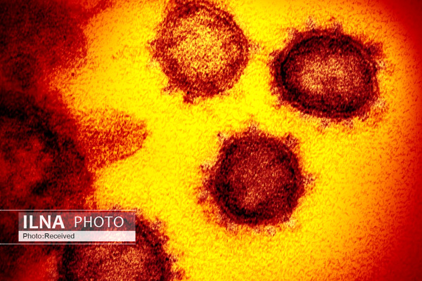 «کرونا» سراغ دانمارک هم رفت