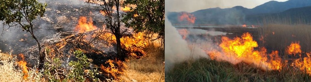 خطری که تهدیدمان می کند: آتش سوزی های تابستانی بعد از سیلاب های بهاری خطری که تهدیدمان می کند: آتش سوزی های تابستانی بعد از سیلاب های بهاری