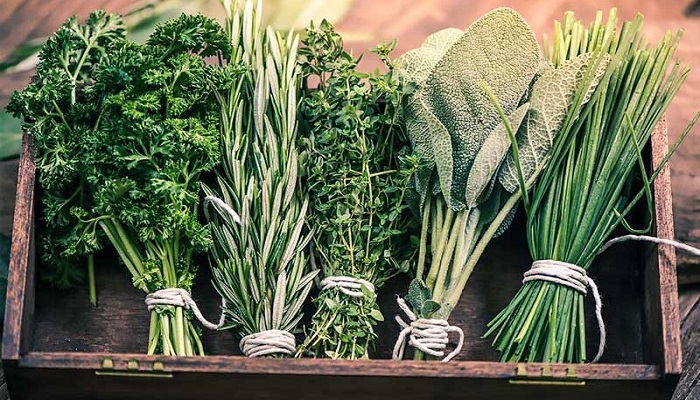 11 نسخه گیاهی برای مغز! 11 نسخه گیاهی برای مغز!