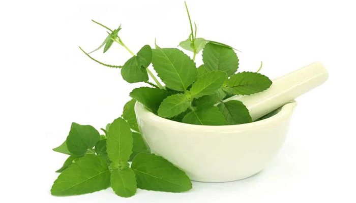 11 نسخه گیاهی برای مغز! 11 نسخه گیاهی برای مغز!