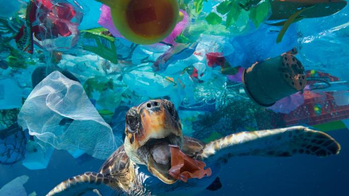 کانادا: یکبار مصرفهای پلاستیکی کانادا: یکبار مصرفهای پلاستیکی