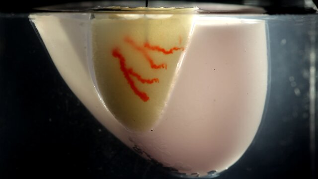 روش جدید دانشمندان دانشگاه هاروارد برای چاپ 3 بعدی اندام‌ها