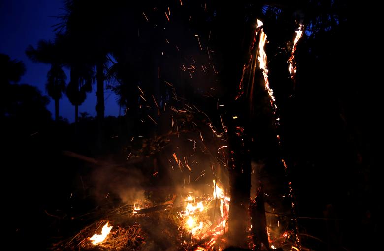 گروه 7: برای کمک به کشورهای آمازون آماده‌ایم (+عکس)