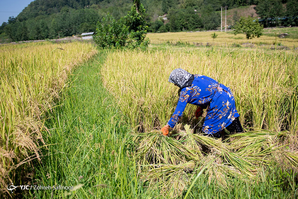 کوهرنگ (چهارمحال‌وبختیاری) 18 درجه زیر صفر