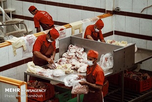 تعطیلی ۵۷ کشتارگاه مجهز در کشور