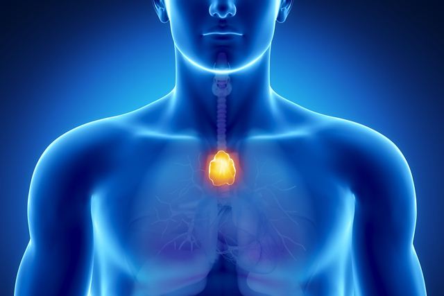 دانشمندان ترکیه‌ای: اگر یک غده‌تان خوب کار کند مستعد نوع خفیف کرونا هستید