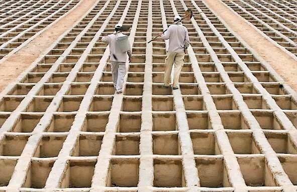 بهشت زهرا: سالانه 15 هزار قبر رایگان در اختیار مردم قرار می‌دهیم