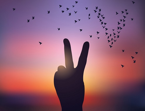 نبرد سخت (قسمت آخر): پیروزی