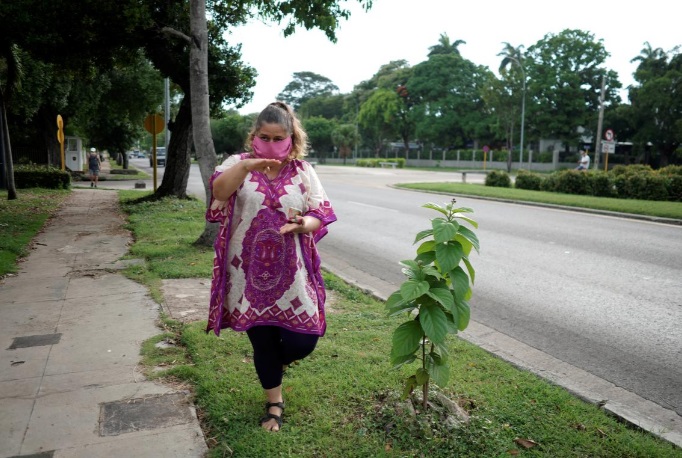 کوبا خطاب به شهروندان: غذای خود را تولید کنید کوبا کشاورزی کرونا