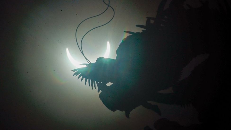 تصاویر آخرین خورشیدگرفتگی قرن در جهان خورشیدگرفتگی هند