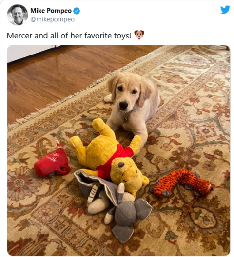 توییت شیطنت‌آمیز پمپئو: همه اسباب بازی‌های 