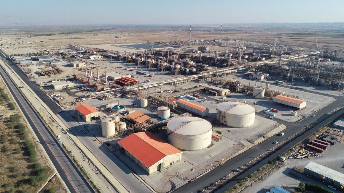 بیدبلند خلیج فارس