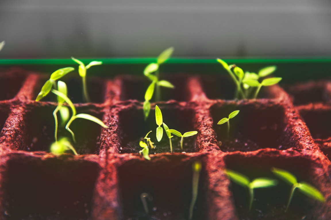 چگونه می‌توان ریسک سرمایه‌گذاری را در دوران ریزش شاخص کاهش داد؟