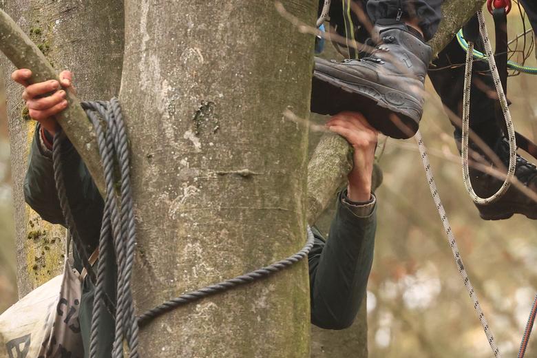 معترضان به ساخت بزرگراه در میان جنگل‌های آلمان (+عکس)