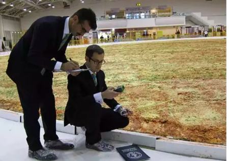 بزرگ ترین خوراکی ها که در کتاب گینس ثبت شدند (+عکس)