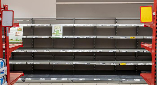 جهان بدون زنبور چگونه است؟