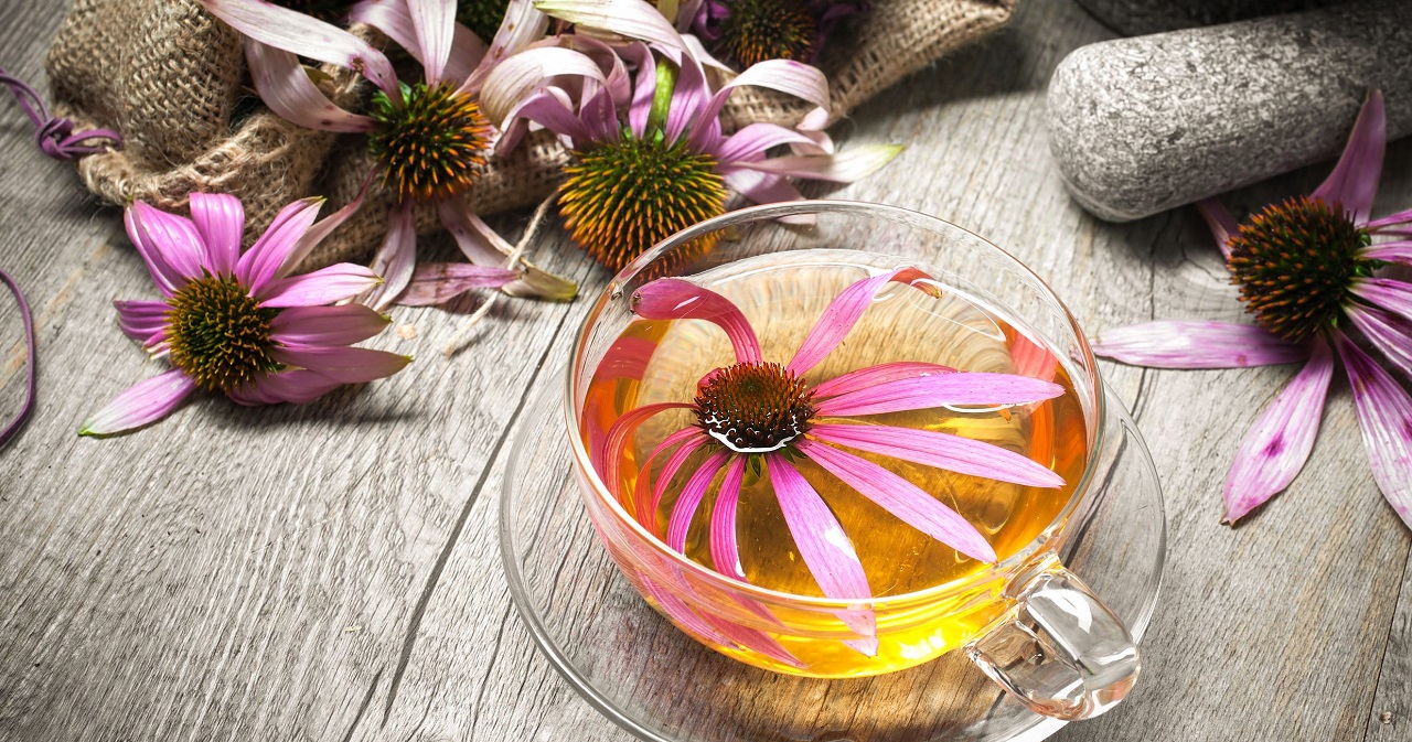 اکیناسه چیست و چه مزایایی برای بدن انسان دارد؟