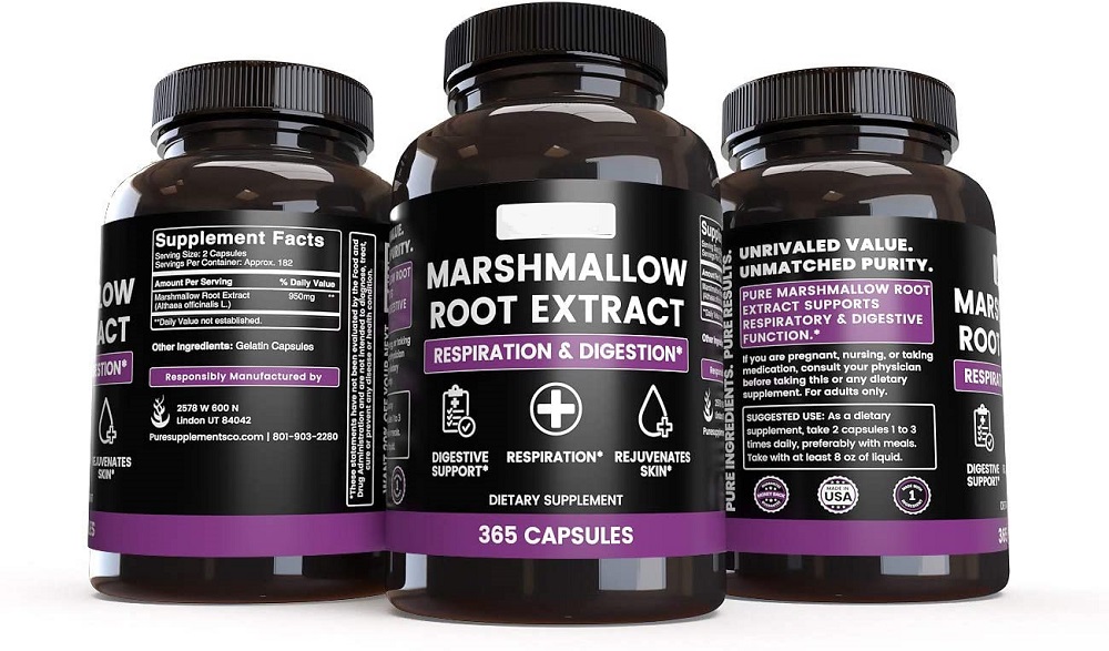 همه چیز درباره پنیرک پف ‌نبات، گیاه فوق العاده باستانی